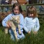 Hardys Animal Farm Ingoldmells Thumb